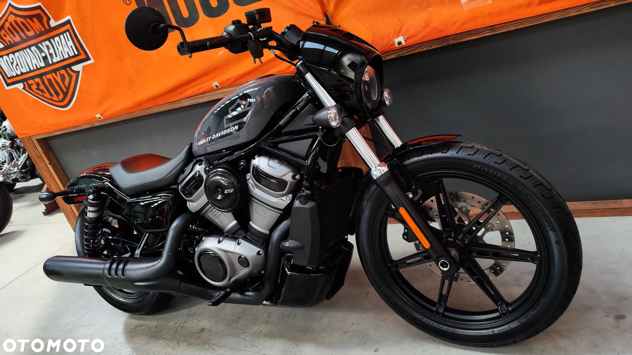 Harley-Davidson Sportster Nightster 975 - 8