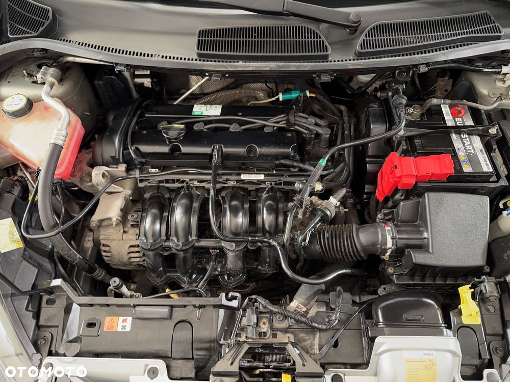 Ford Fiesta - 22
