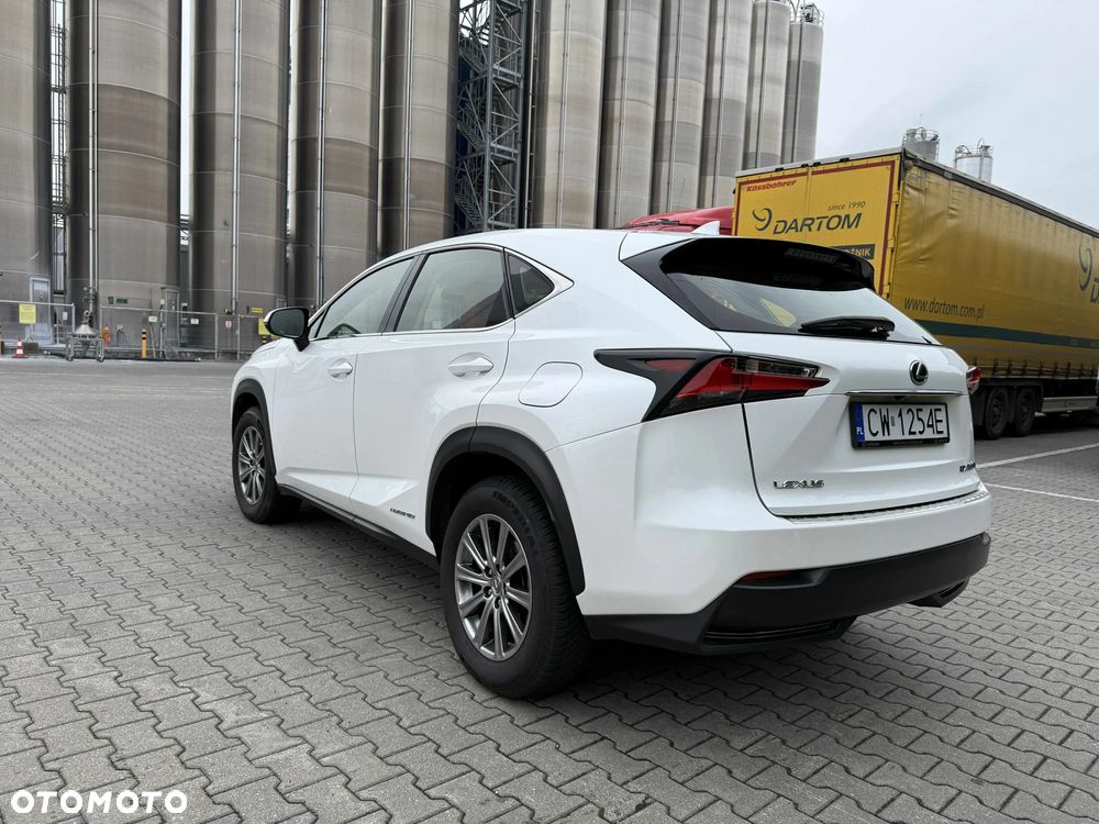 Lexus NX 300h Elite 2WD - 12