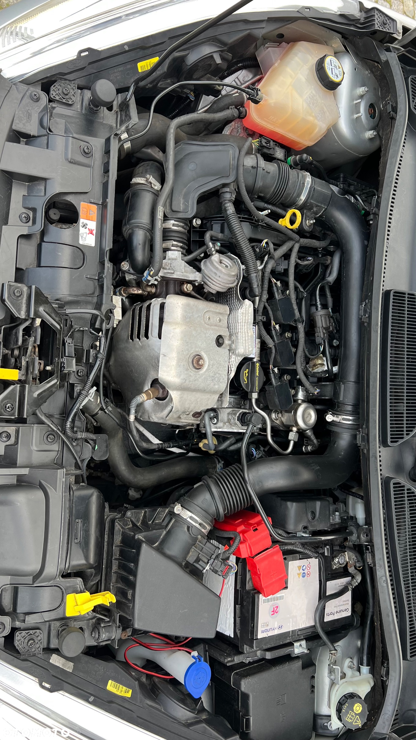 Ford Fiesta 1.0 EcoBoost GPF Titanium ASS - 21