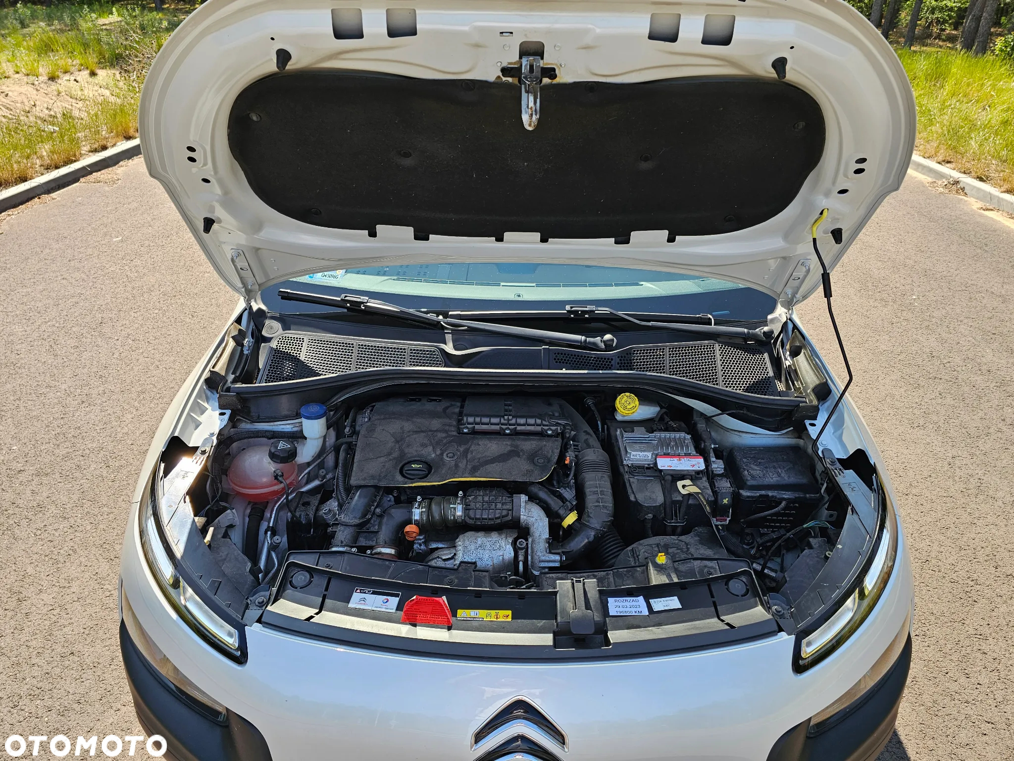 Citroën C4 Cactus 1.6 BlueHDi Shine - 21