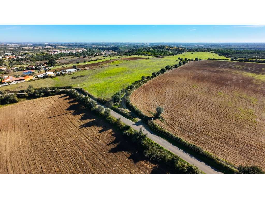 Terreno Rústico para venda em Alforgemel, Almoster - Grande imagem: 5/20