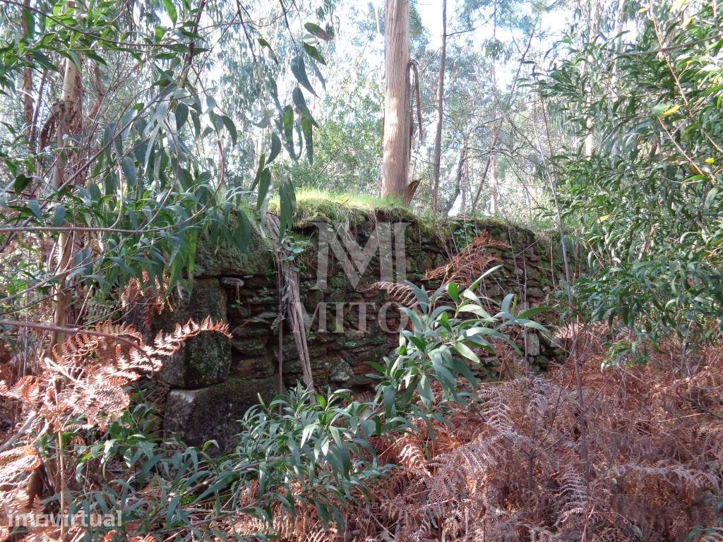 Ruína em Pedra para reconstruir, situada em Vilar de Mouros - Grande imagem: 3/7
