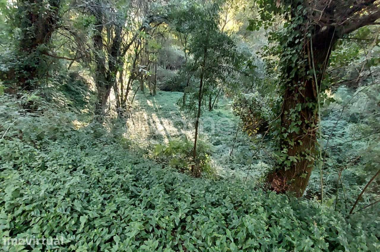Terreno Rustico com 1490m2, em Gondomar, Porto - Grande imagem: 2/15