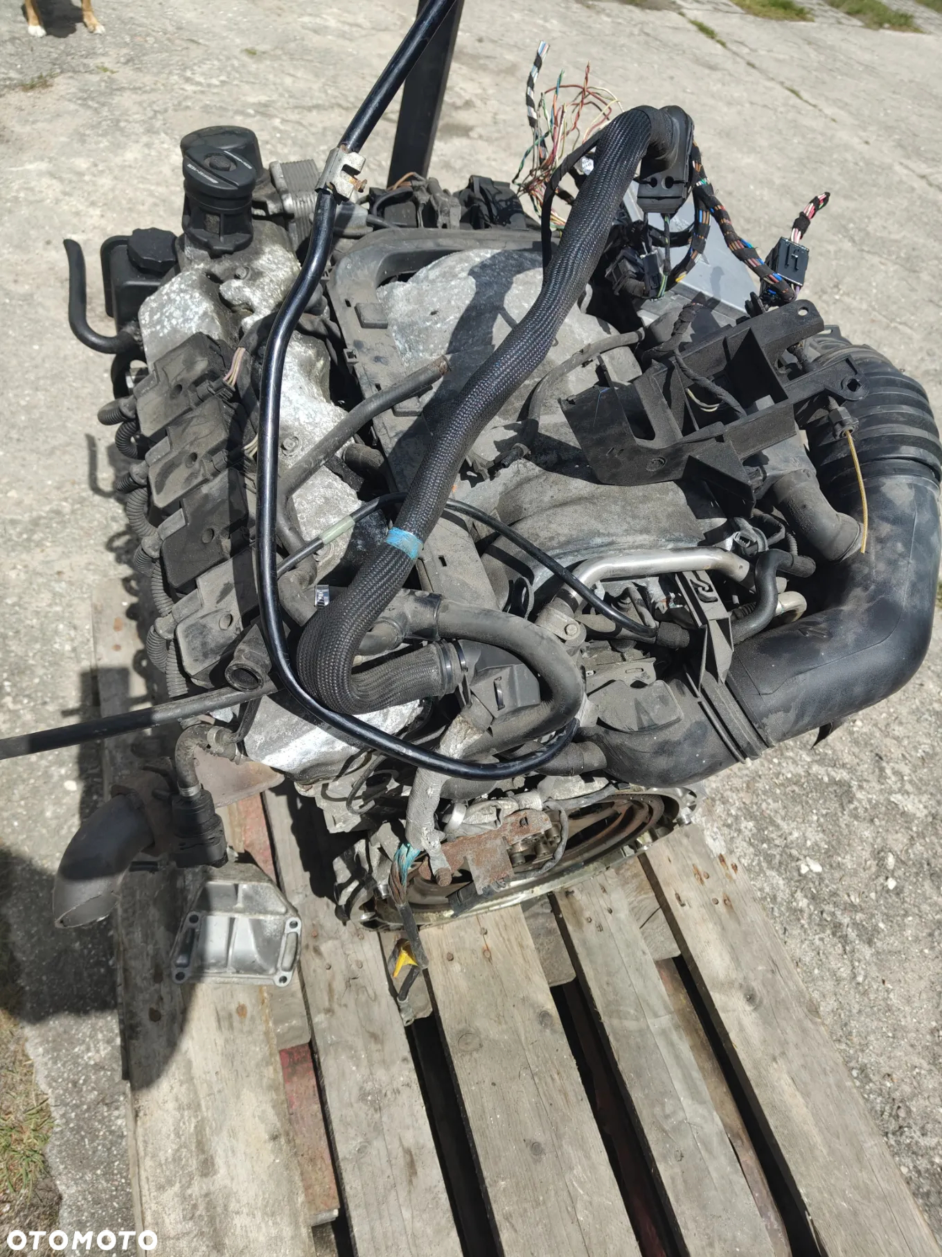 SILNIK KOMPLETNY SWAP Mercedes 5.5 AMG 113981 M113 Ml w163 w220 - 12
