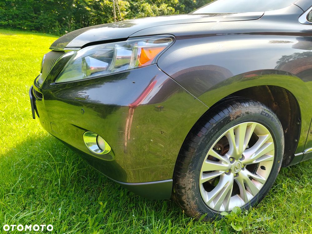 Lexus RX - 19