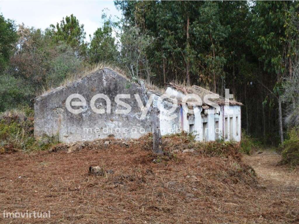 Moradia Isolada em ruínas para reconstruir perto de Ferreira do Zêzere - Grande imagem: 2/19