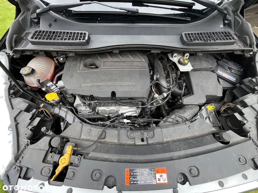Ford Kuga 1.5 EcoBoost FWD Edition ASS - 19