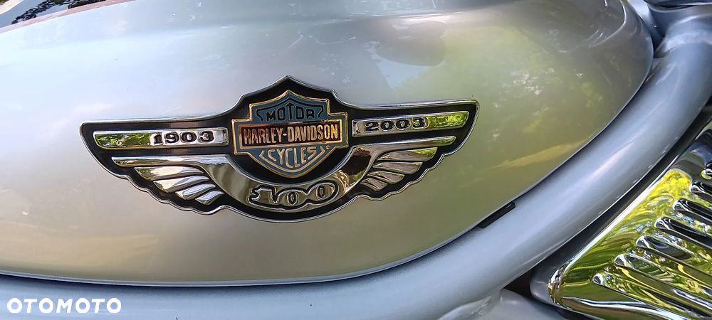 Harley-Davidson V-Rod Street Rod - 9