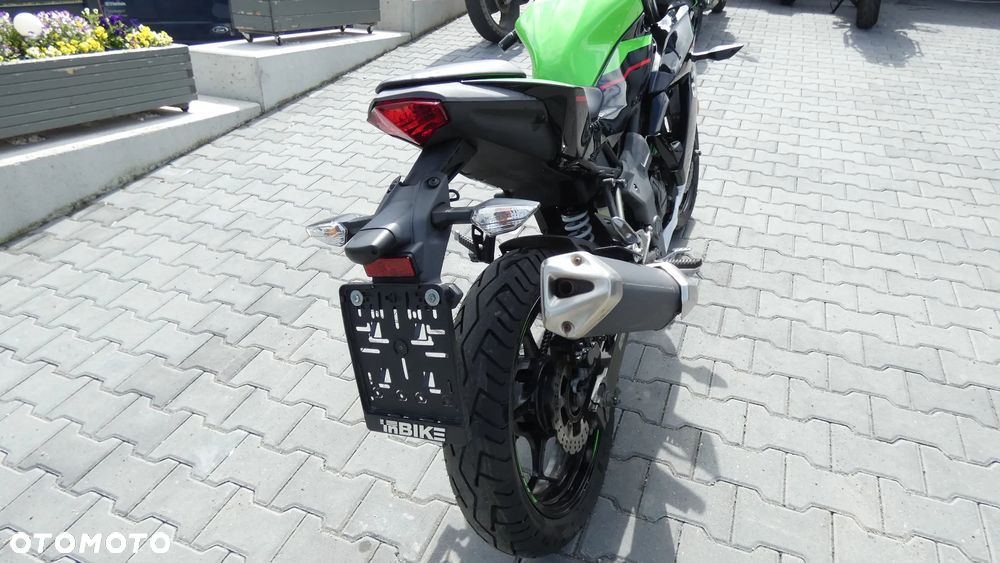 Kawasaki Ninja - 10