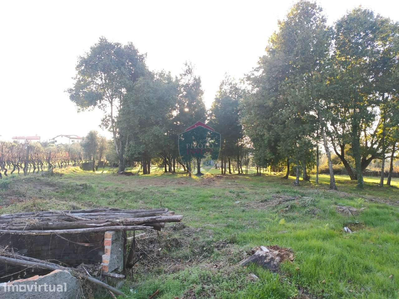 Terreno Para Construção  Venda em Silgueiros,Viseu - Grande imagem: 5/26