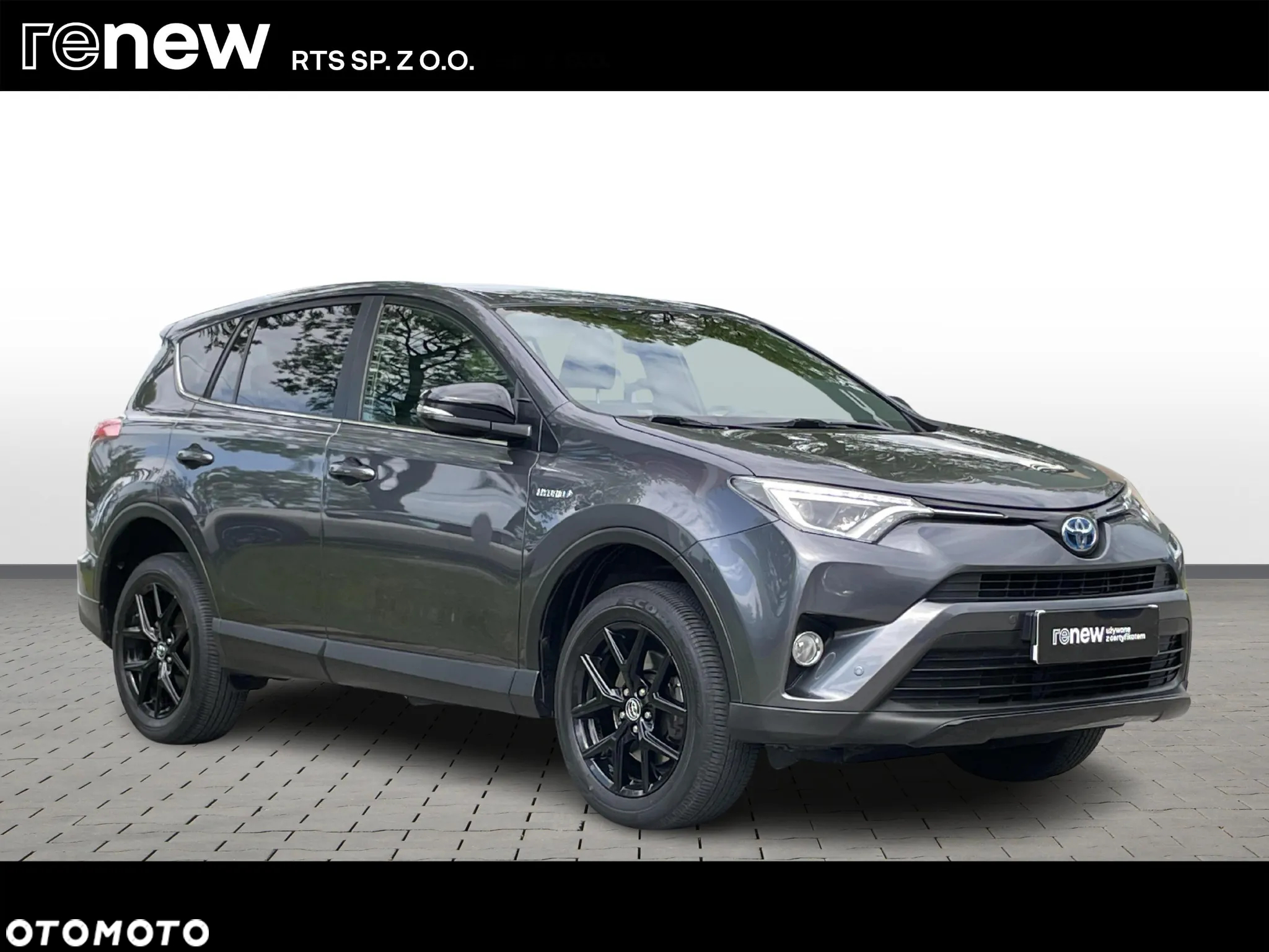 Toyota RAV4 Hybrid Style 4x2 - 7