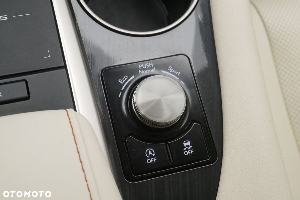 Lexus RX - 24