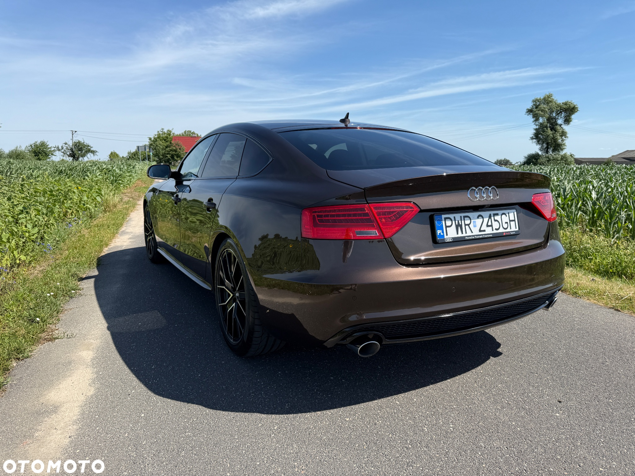 Audi A5 3.0 TDI Quattro S tronic - 8
