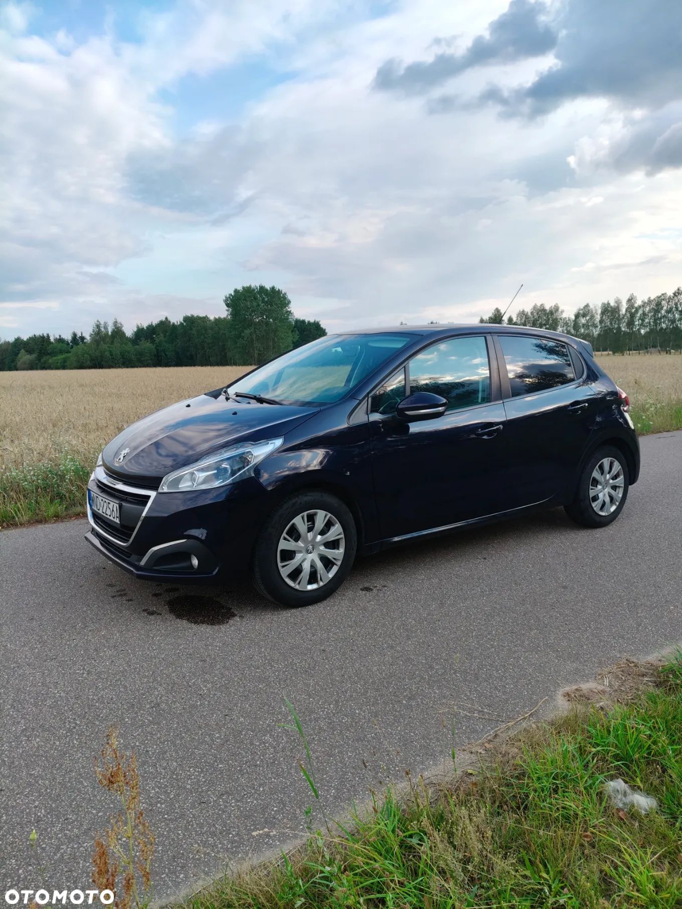 Peugeot 208 Blue-HDi 100 Stop&Start Active - 1