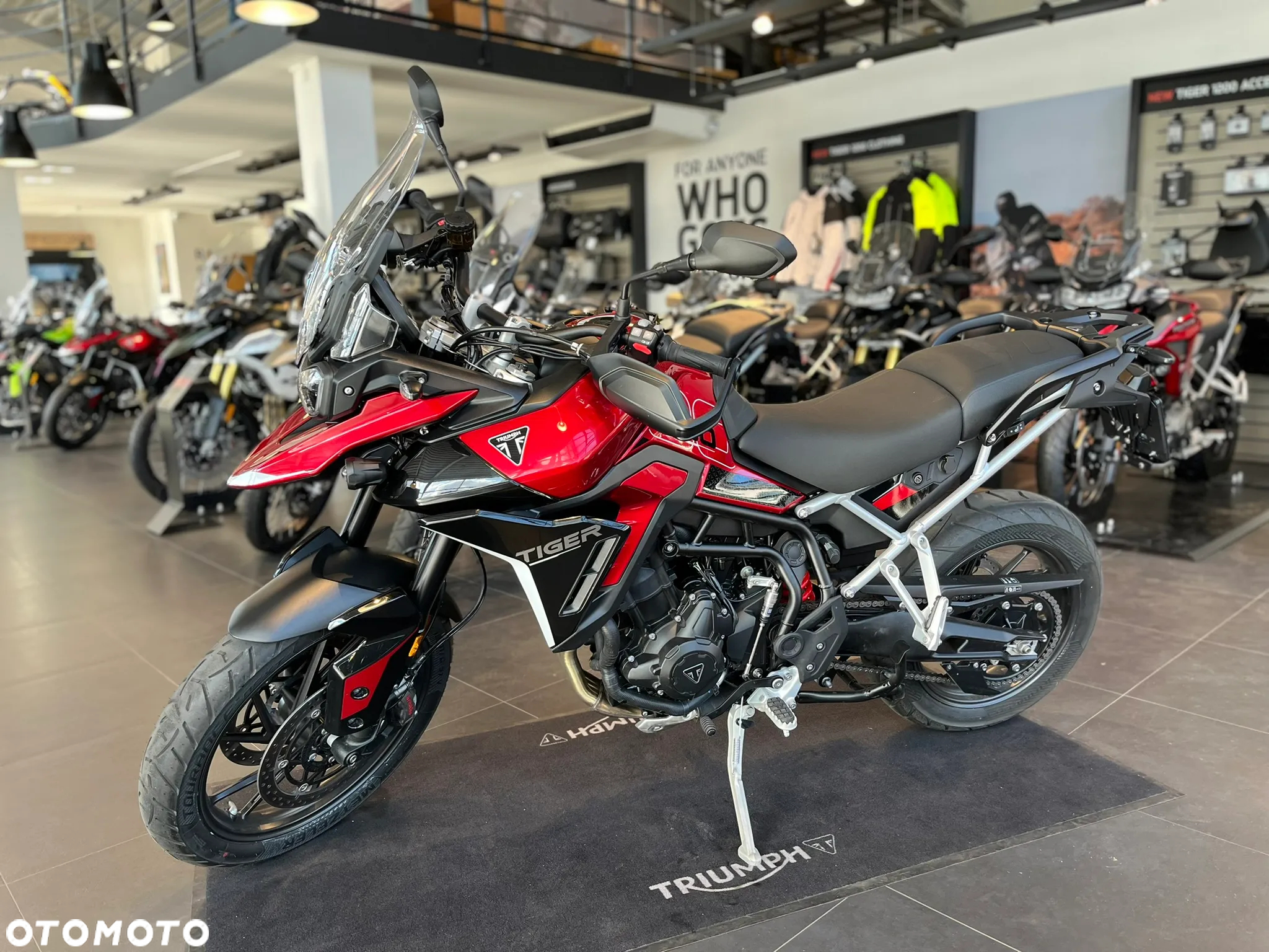 Triumph Tiger - 2