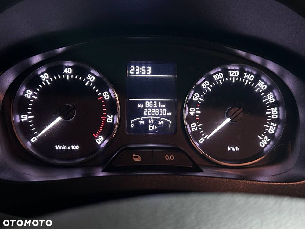 Skoda RAPID - 18