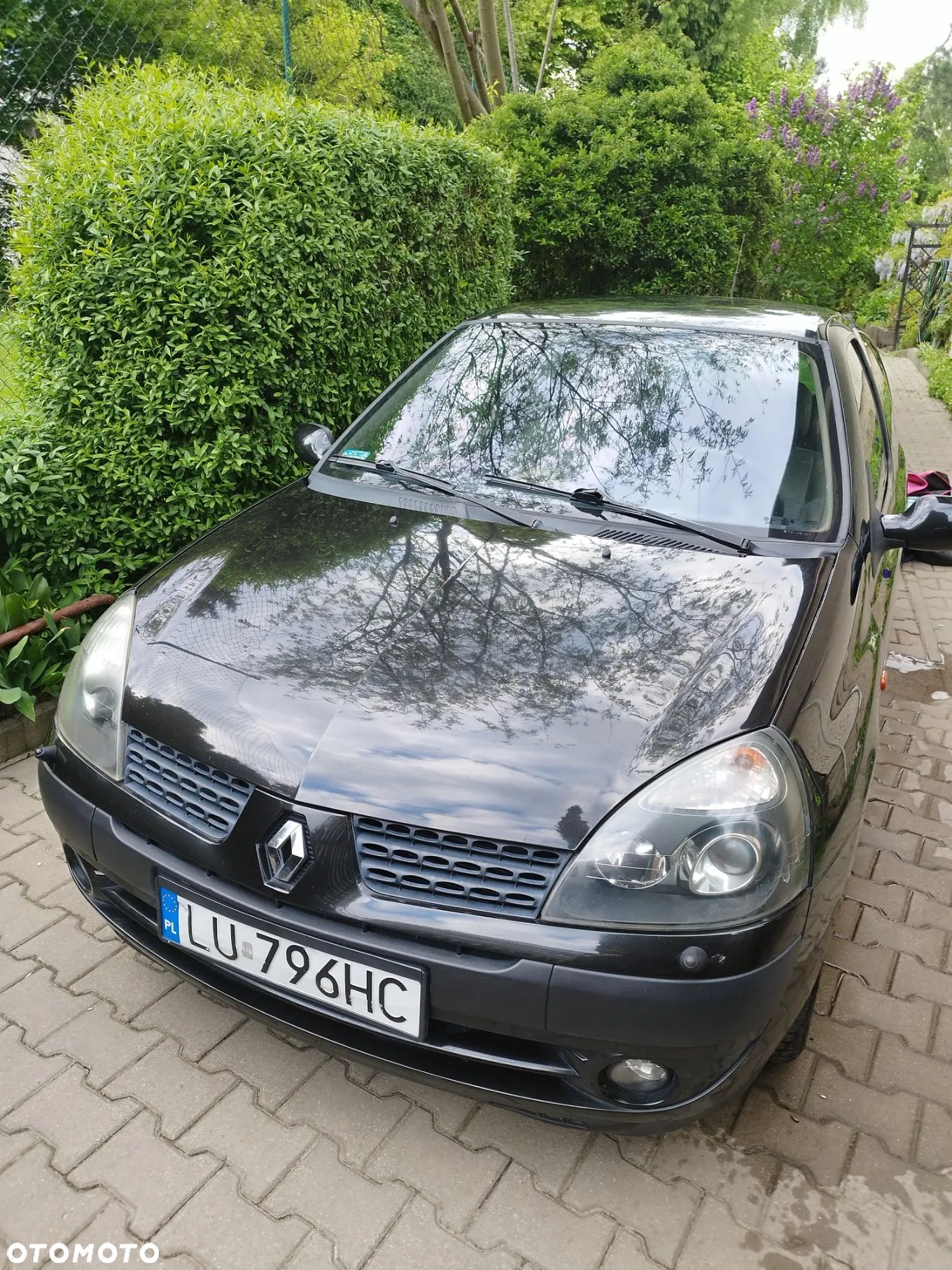 Renault Clio - 1