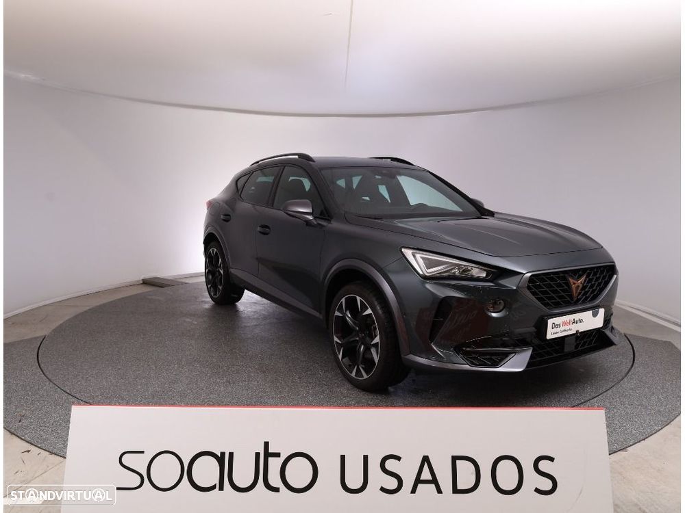 Cupra Formentor 1.5 TSI DSG - 15