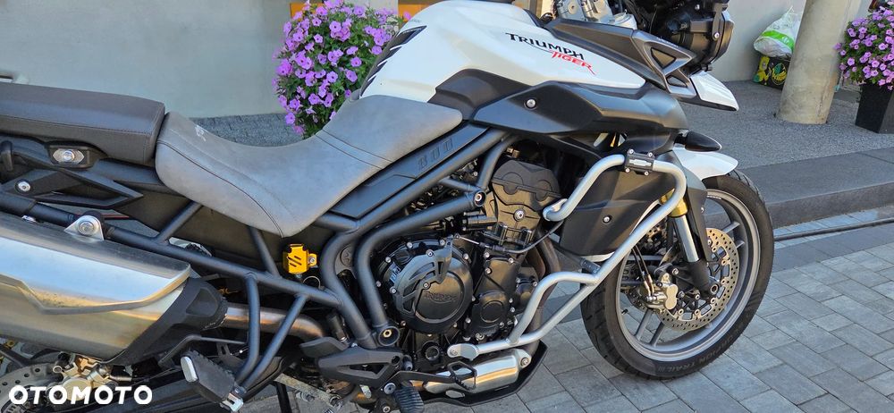 Triumph Tiger - 4