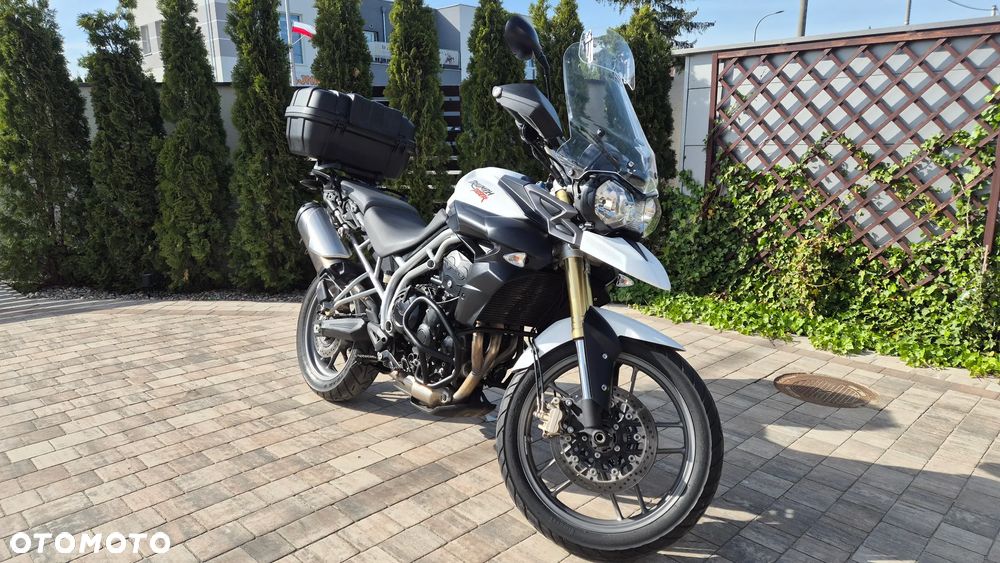 Triumph Tiger - 12