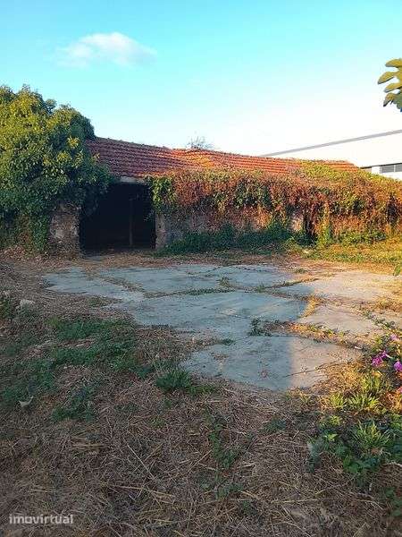 Terreno  Figueira de Lorvao - Grande imagem: 3/4