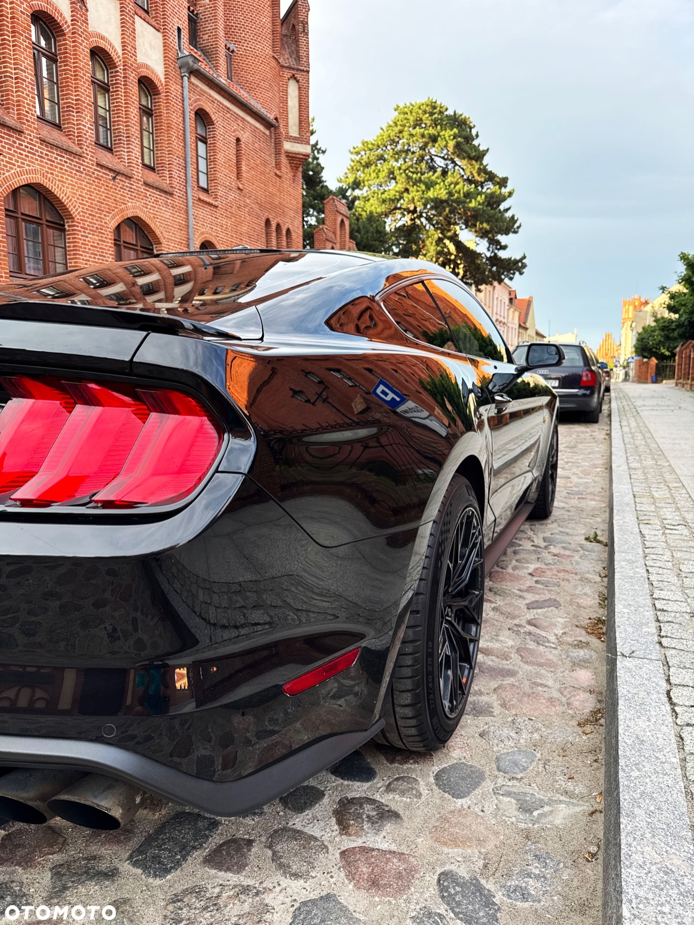 Ford Mustang Fastback 5.0 Ti-VCT V8 GT - 14