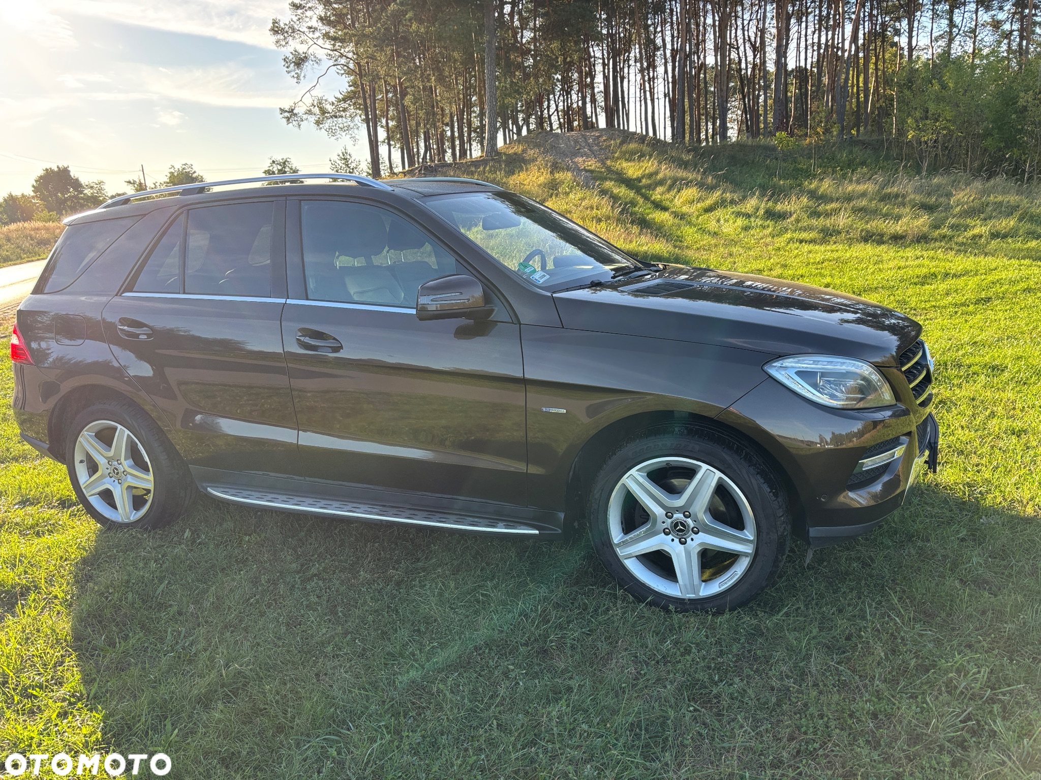 Mercedes-Benz ML 350 BlueTec 4-Matic - 5