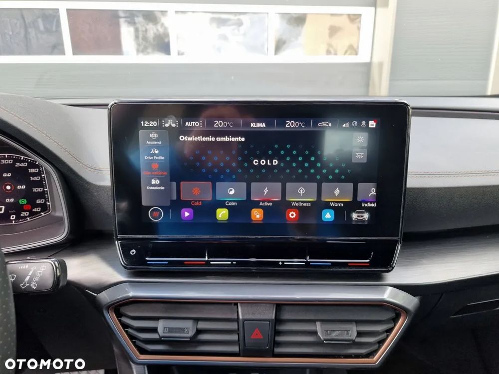 Cupra Formentor 2.0 TSI 4Drive DSG - 32