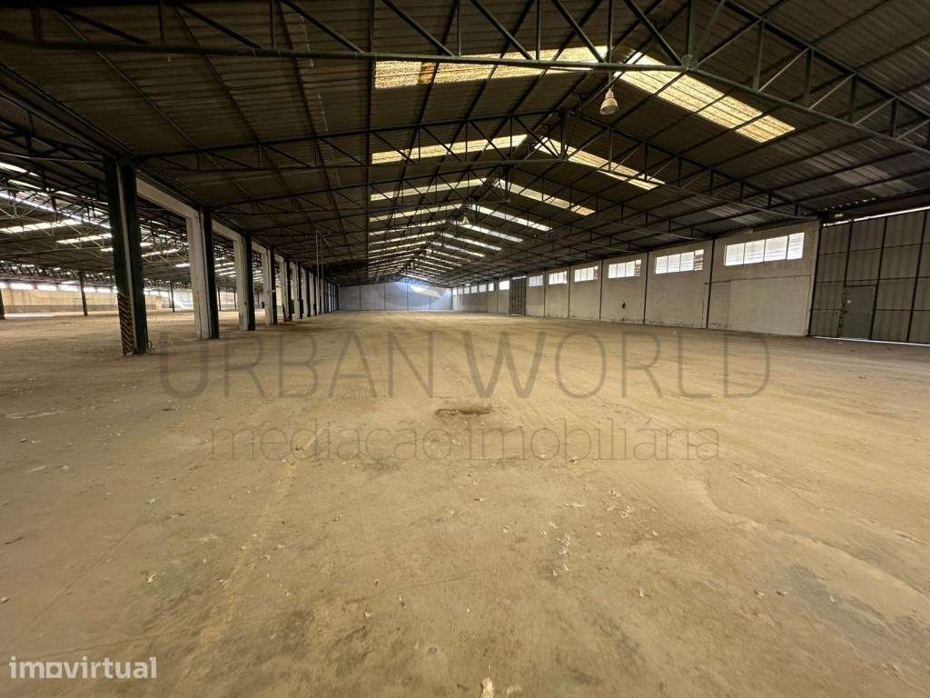 Armazém Industrial, Z. Industrial Torres Novas - Santarém, 12.056 m2 - Grande imagem: 3/39