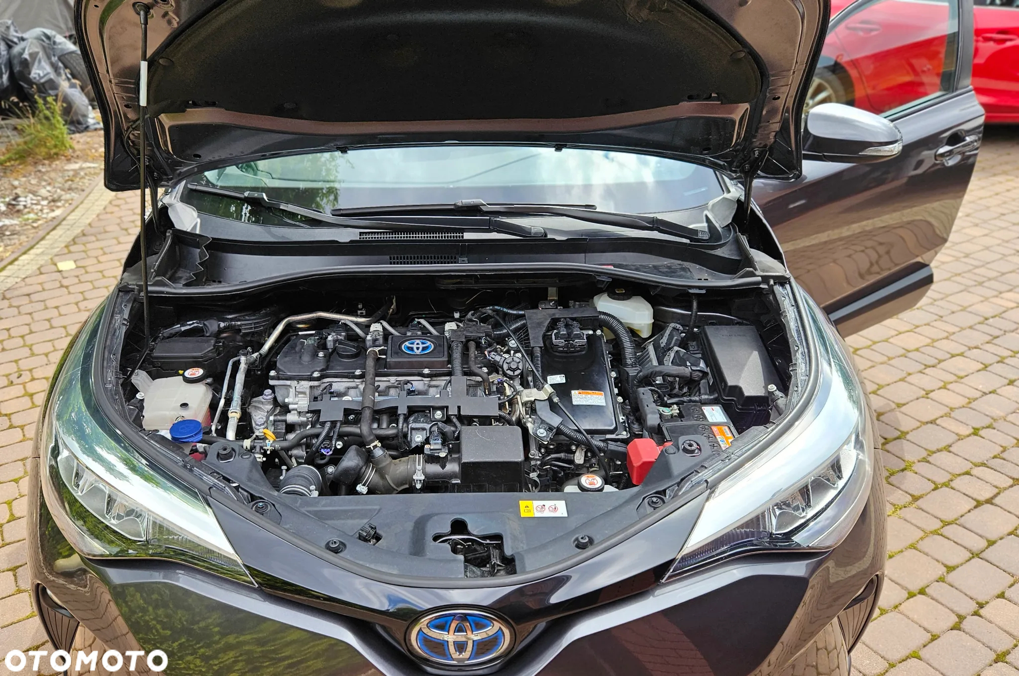 Toyota C-HR - 22
