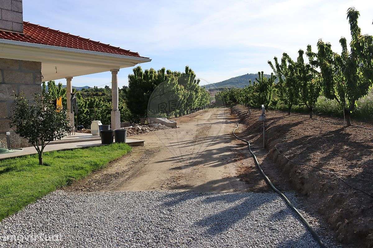 Quinta  para venda - Grande imagem: 3/41