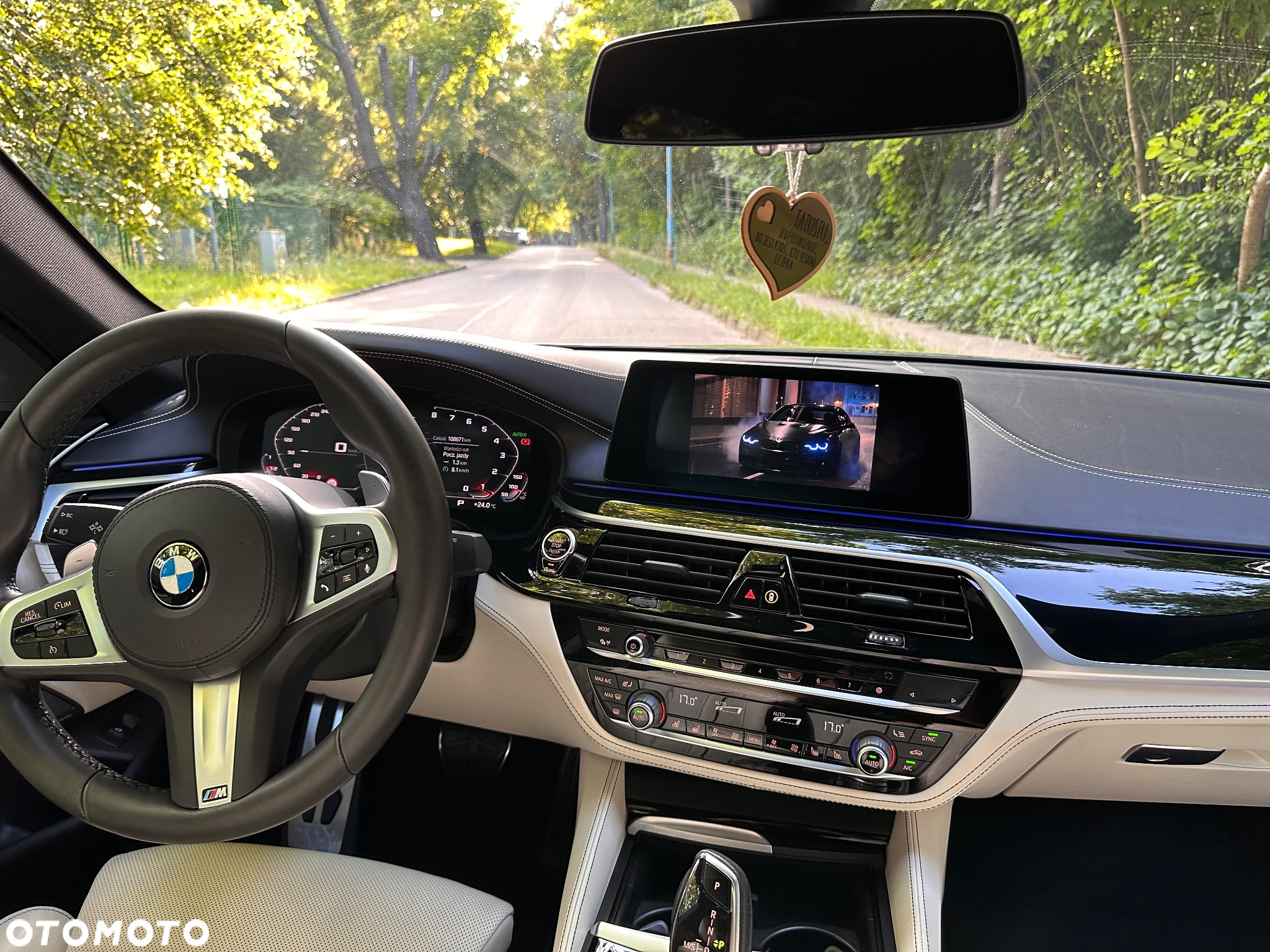 BMW Seria 5 530i xDrive M Sport sport - 17