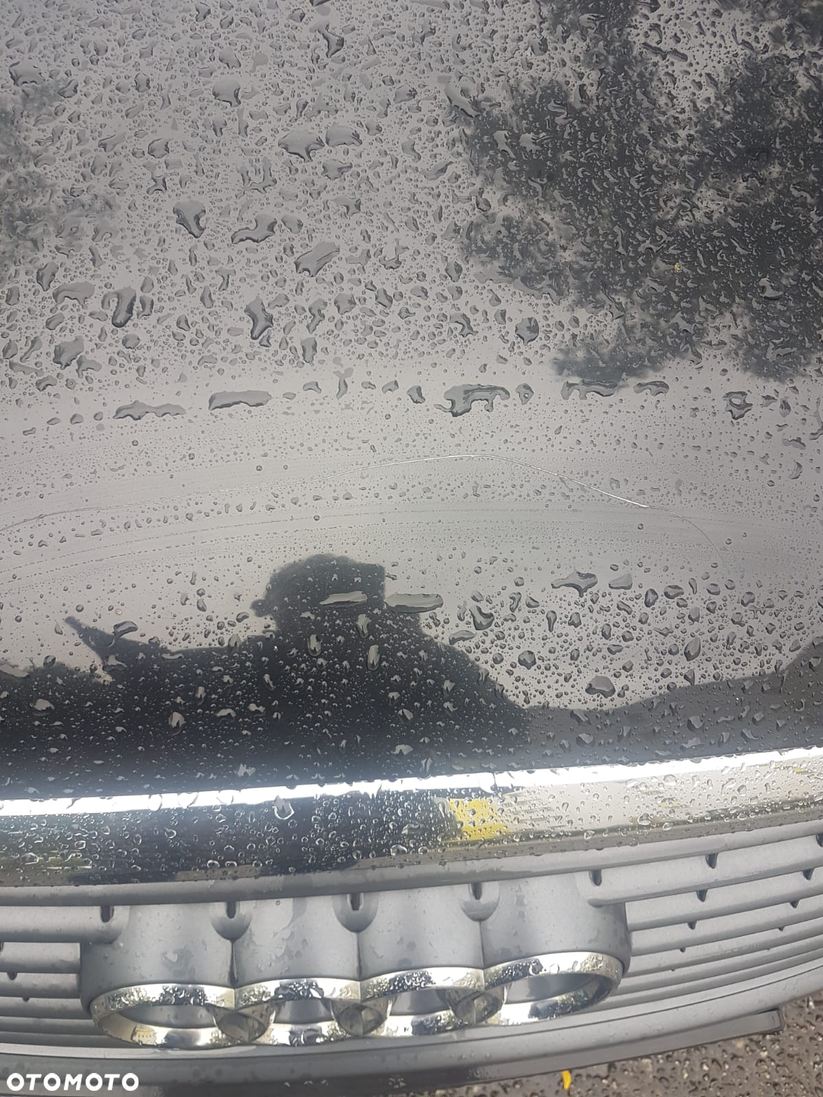 Audi A6 - 12