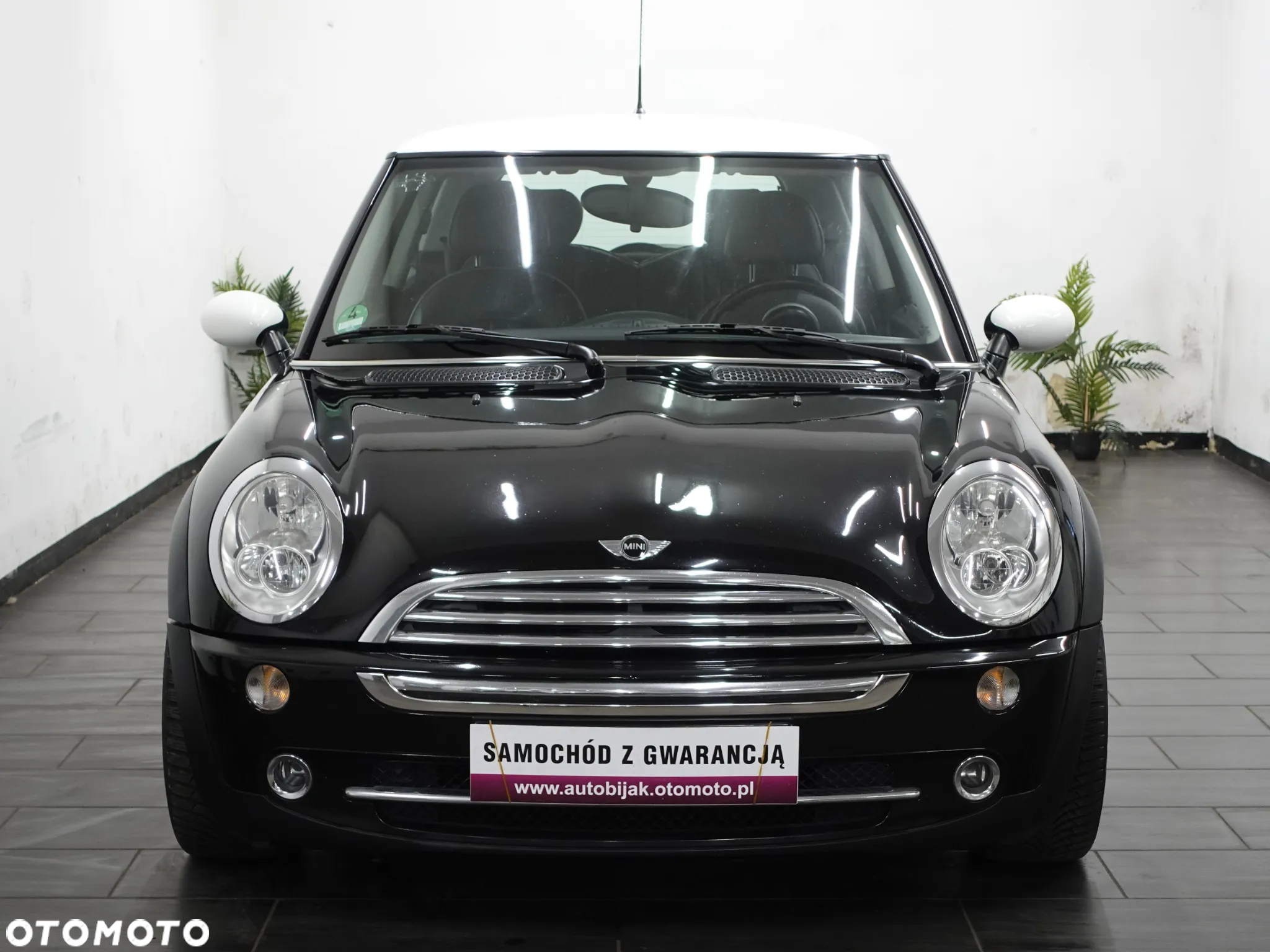MINI Cooper pepper - 12