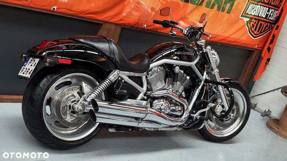 Harley-Davidson Softail V-Rod - 3
