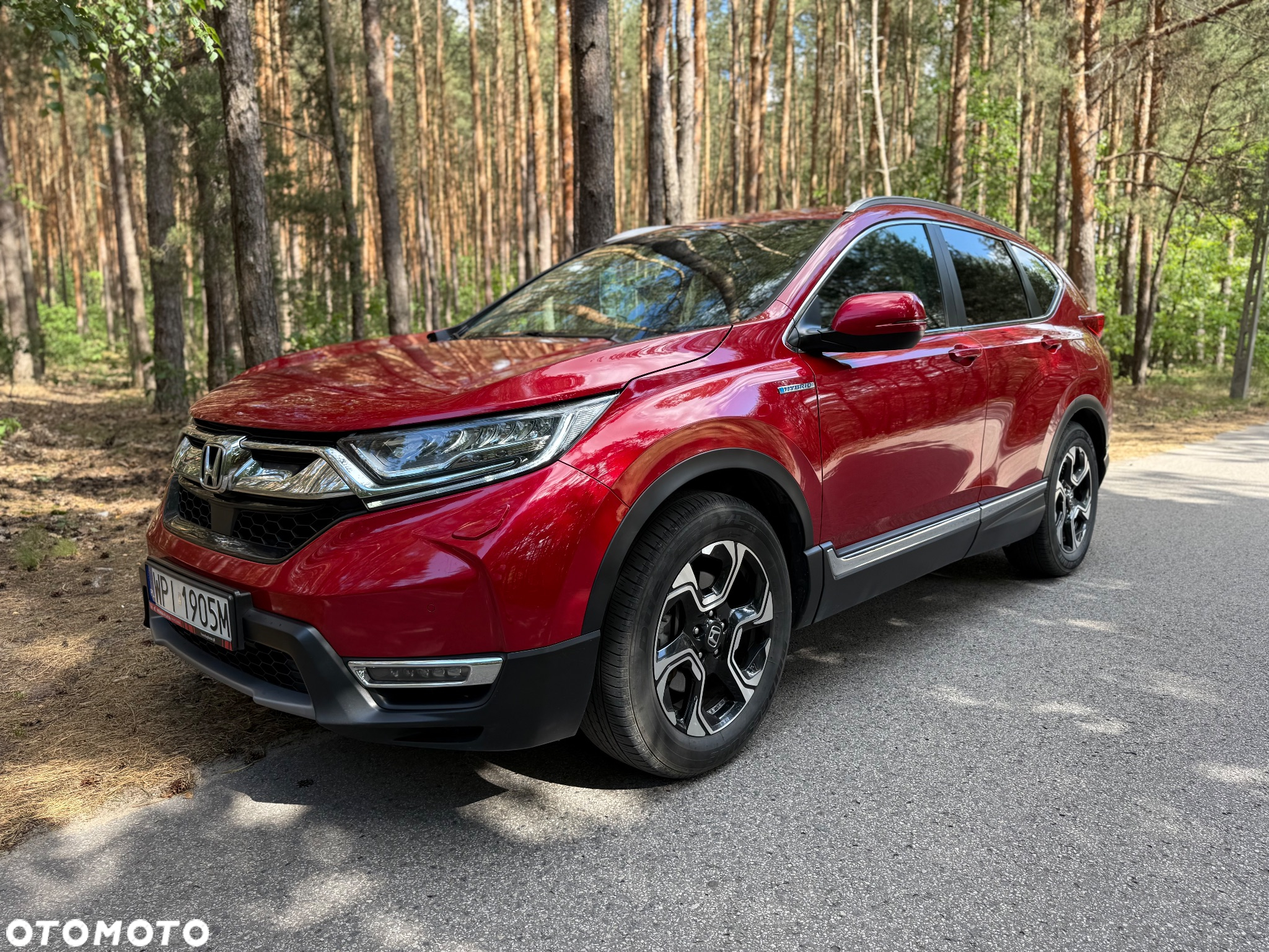 Honda CR-V 2.0 i-MMD Elegance (2WD / Connect+) - 6