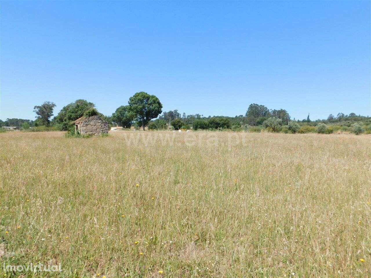 Terreno com ruina / Seia, Pinhanços - Grande imagem: 2/8