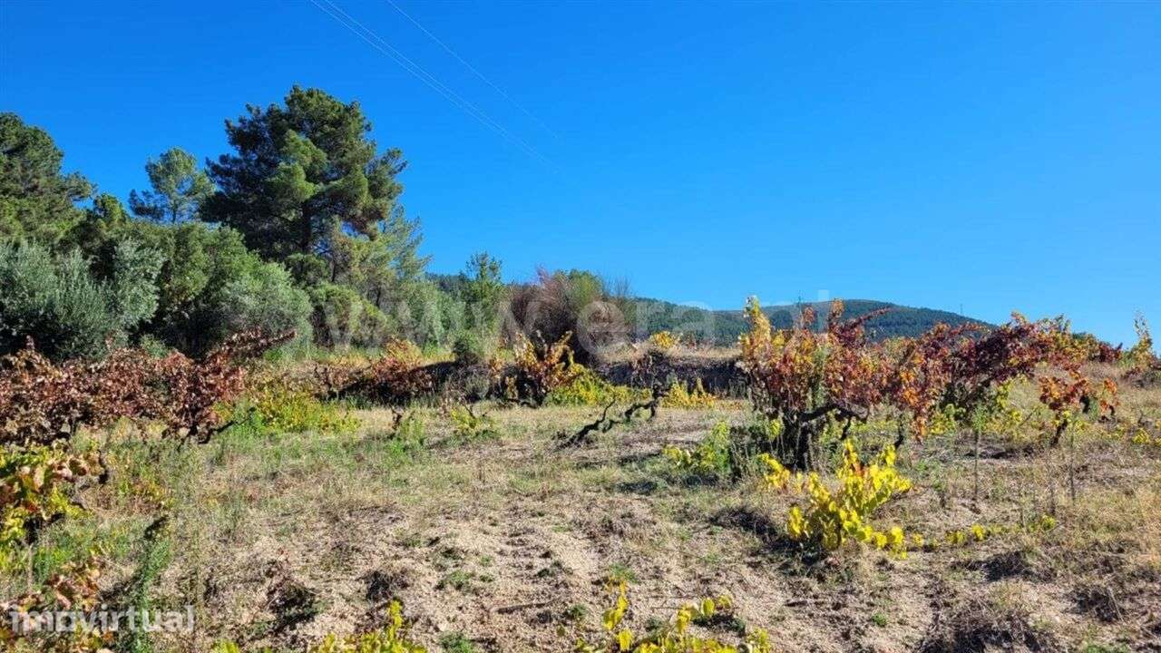 Terreno / Fundão, Cortiçada - Grande imagem: 2/3