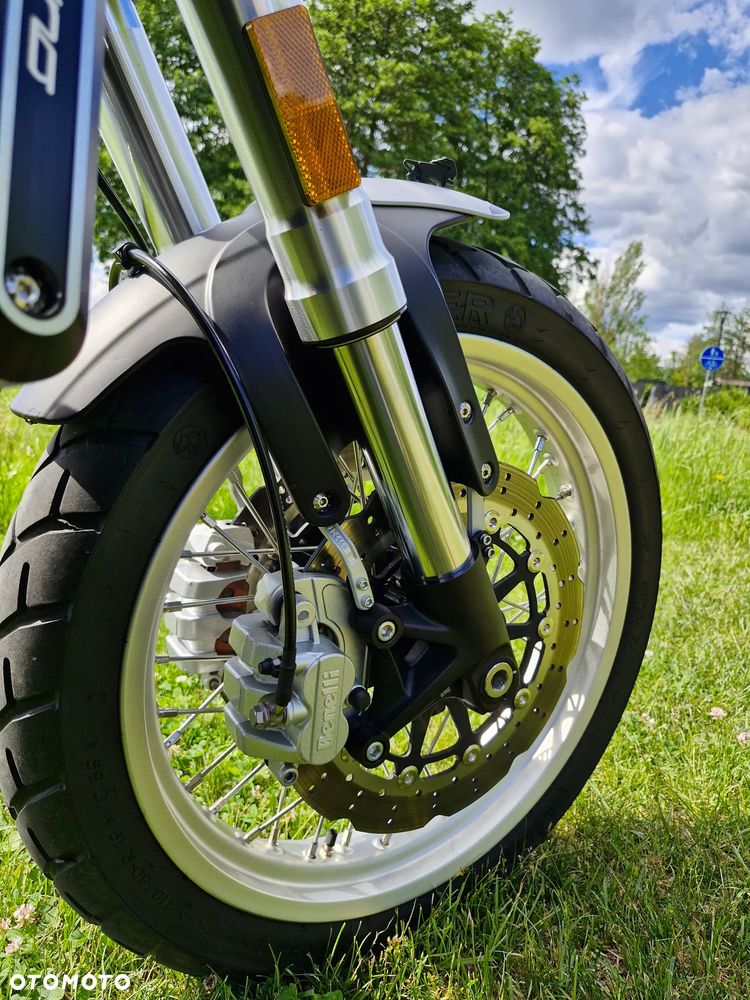 Benelli Leoncino Trail - 10