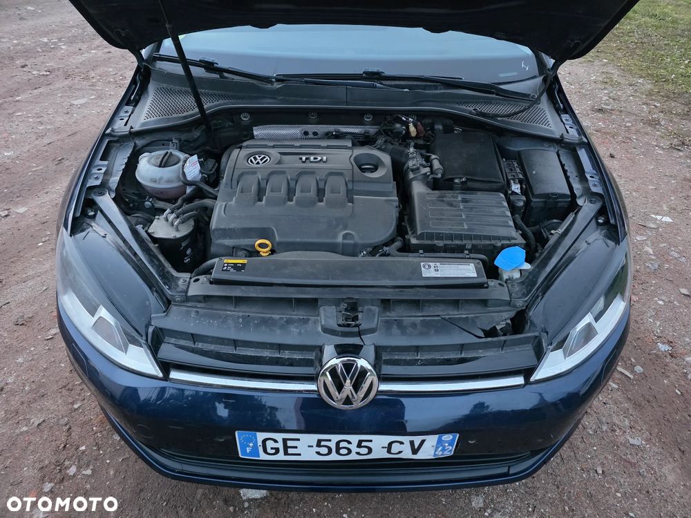 Volkswagen Golf 1.6 TDI BlueMotion Technology DSG Cup - 8