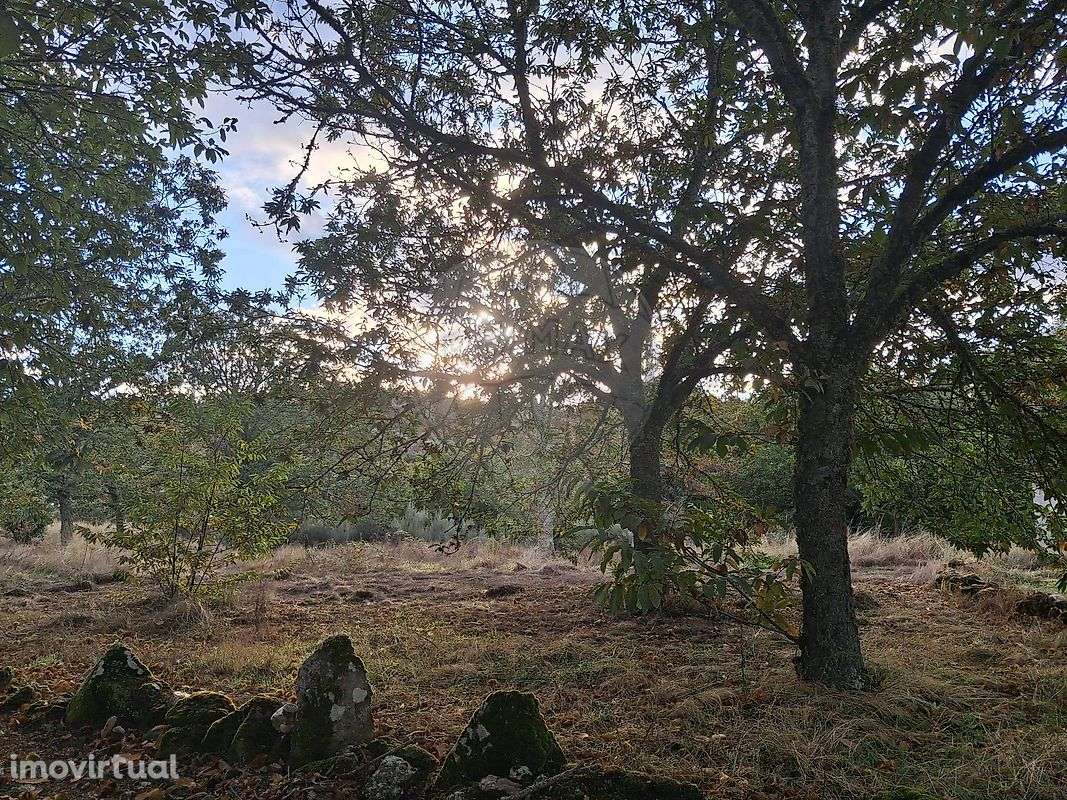 Terreno  para venda - Grande imagem: 2/14