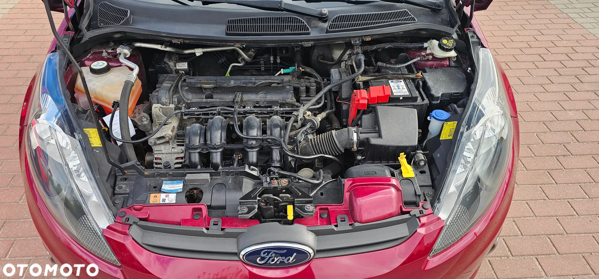 Ford Fiesta 1.25 Champions Edition - 26