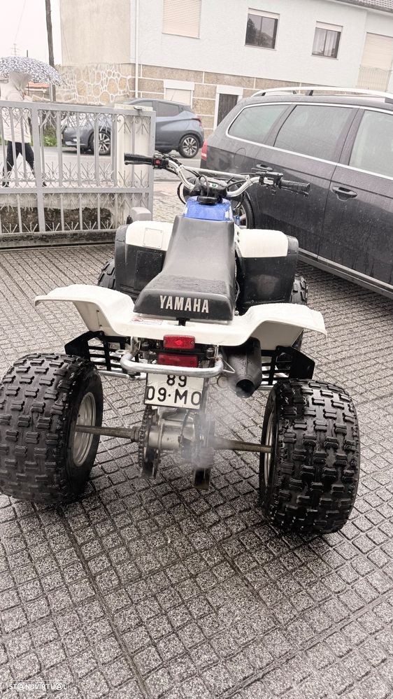 Yamaha Warrior Warrior 350 - 2