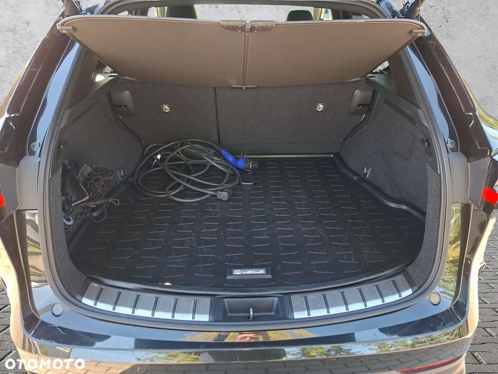 Lexus NX - 25