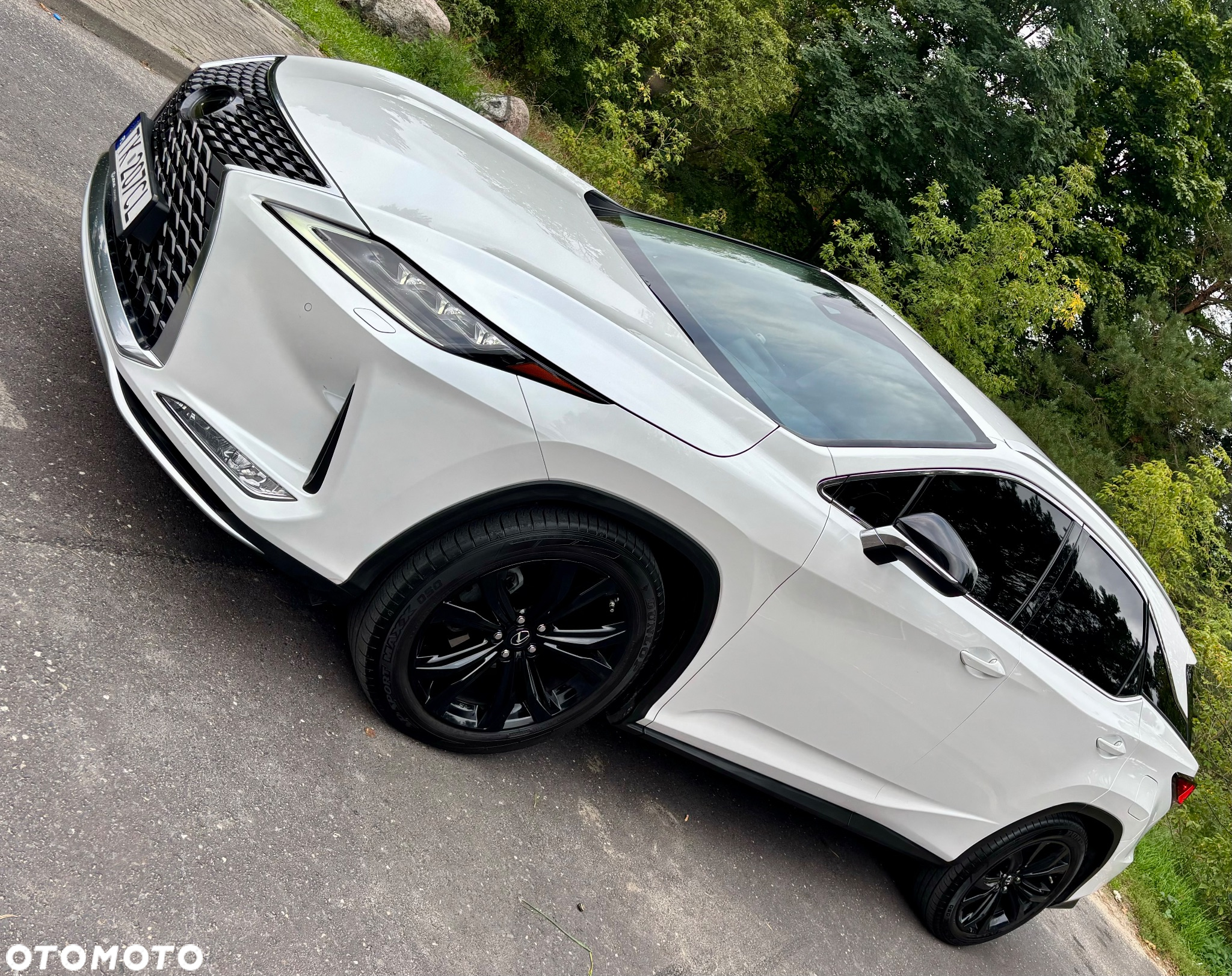 Lexus RX 300 Business Edition + - 7