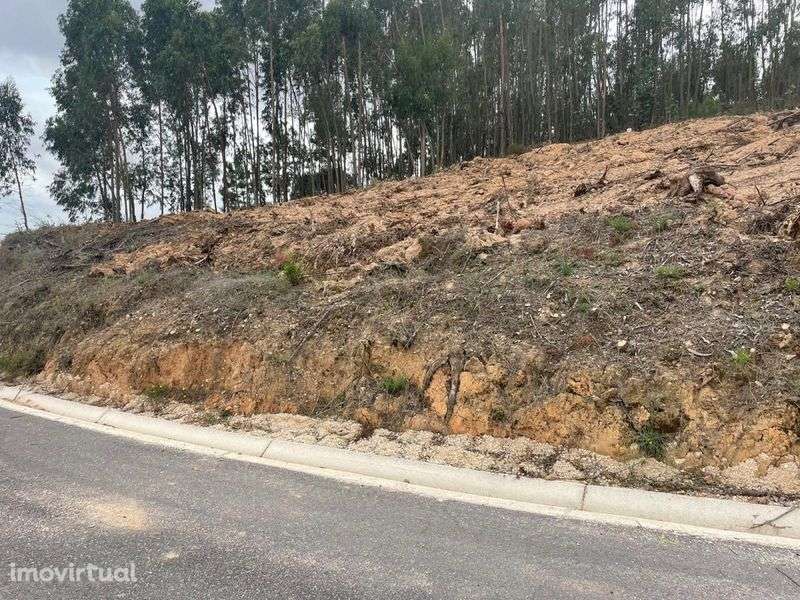 Terreno para construção - Aldeia do Mato e Souto ( vendo ou permuto) - Grande imagem: 3/12