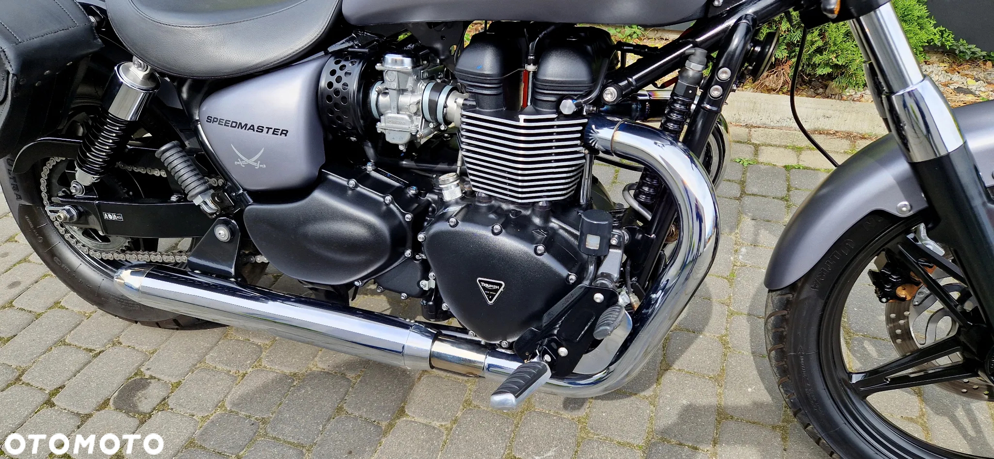 Triumph Speedmaster - 36