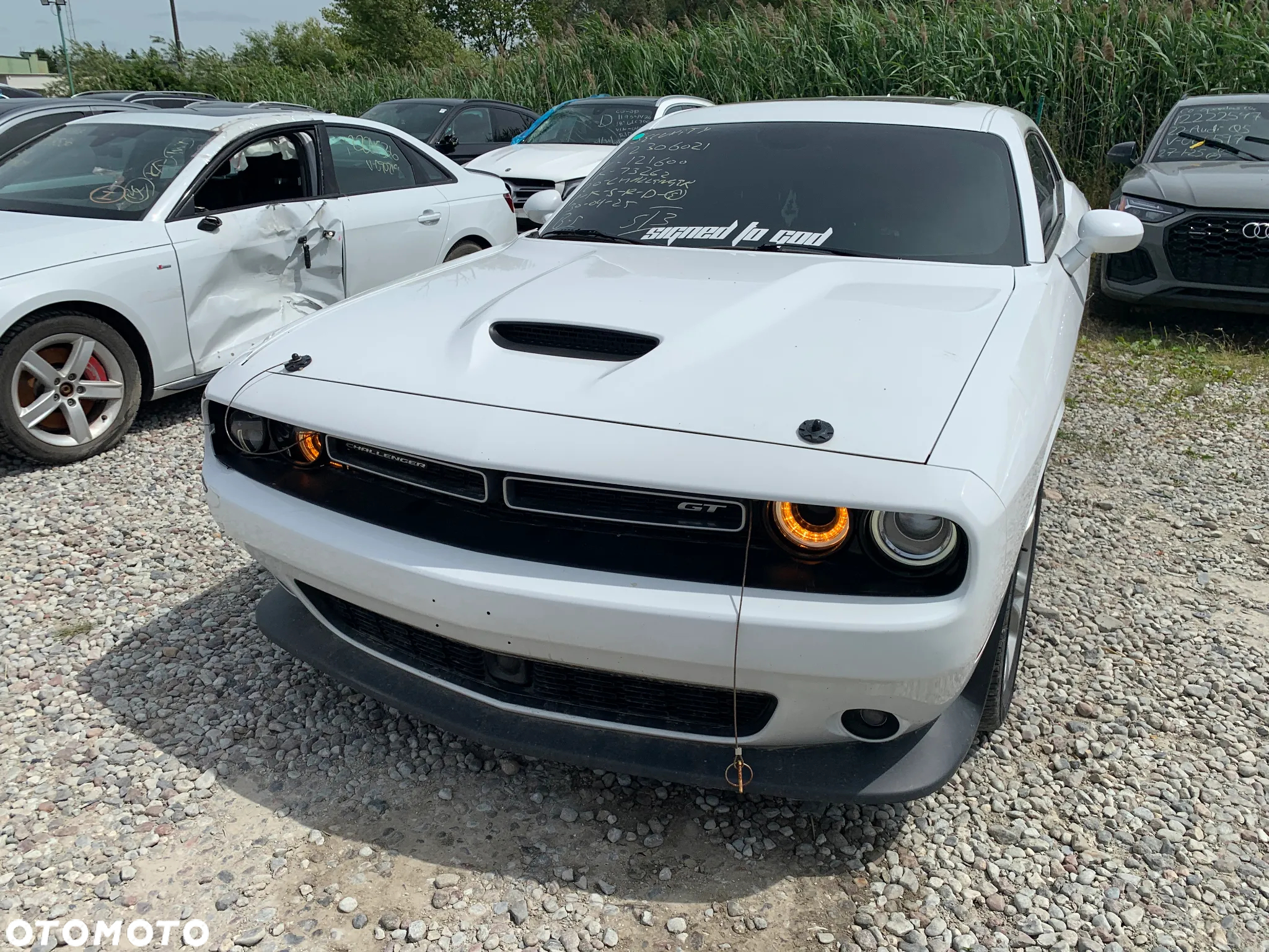 Dodge Challenger Automatik SXT Plus - 3