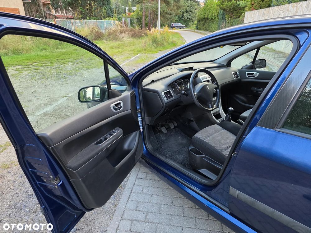 Peugeot 307 - 16